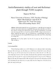 Antiinflammatory studies of soot and theformer plant through TLR4 receptors