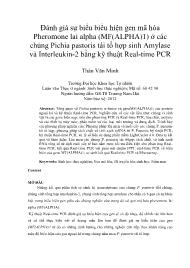 Đánh giá sự biểu biểu hiện gen mã hóa Pheromone lai alpha (MF(ALPHA)1) ở các chủng Pichia pastoris tái tổ hợp sinh Amylase và Interleukin-2 bằng kỹ thuật Real-time PCR